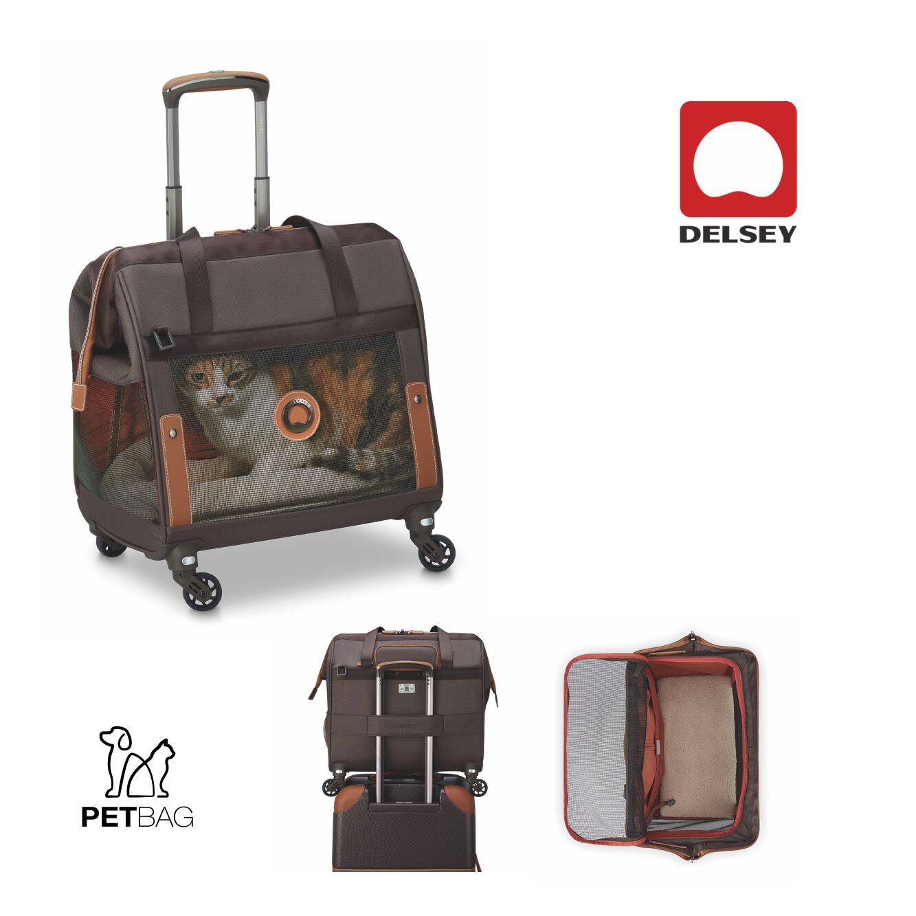 4304 Aurelio - Zaino Trolley Pet 4 ruote removibili