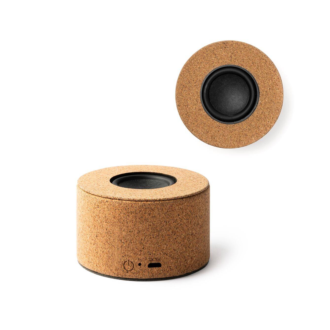 9110 Igor - Speaker