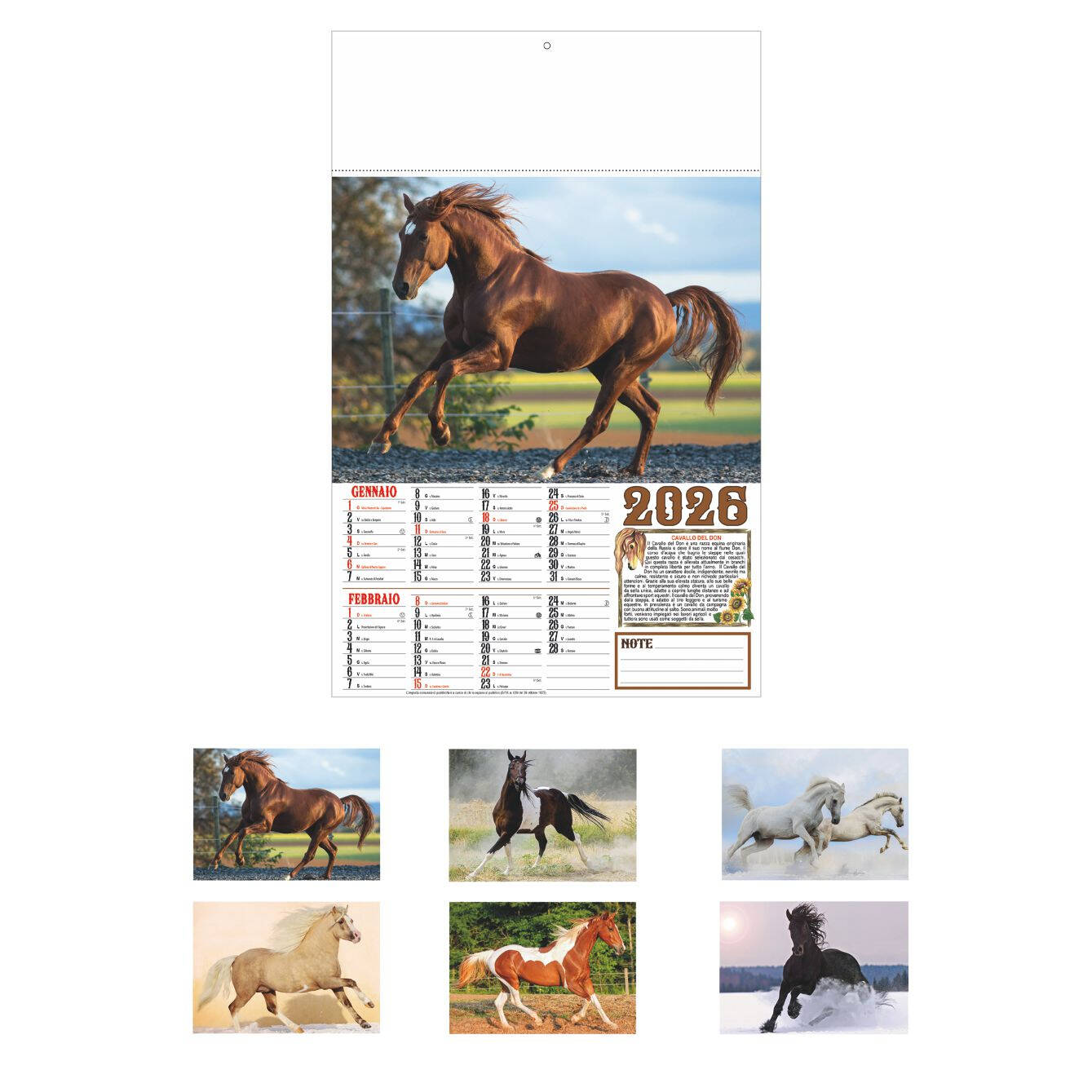 B043 - CALENDARIO  CAVALLI
