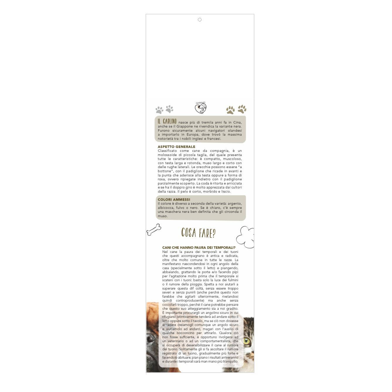 B071 - CALENDARIO  CANI E GATTI