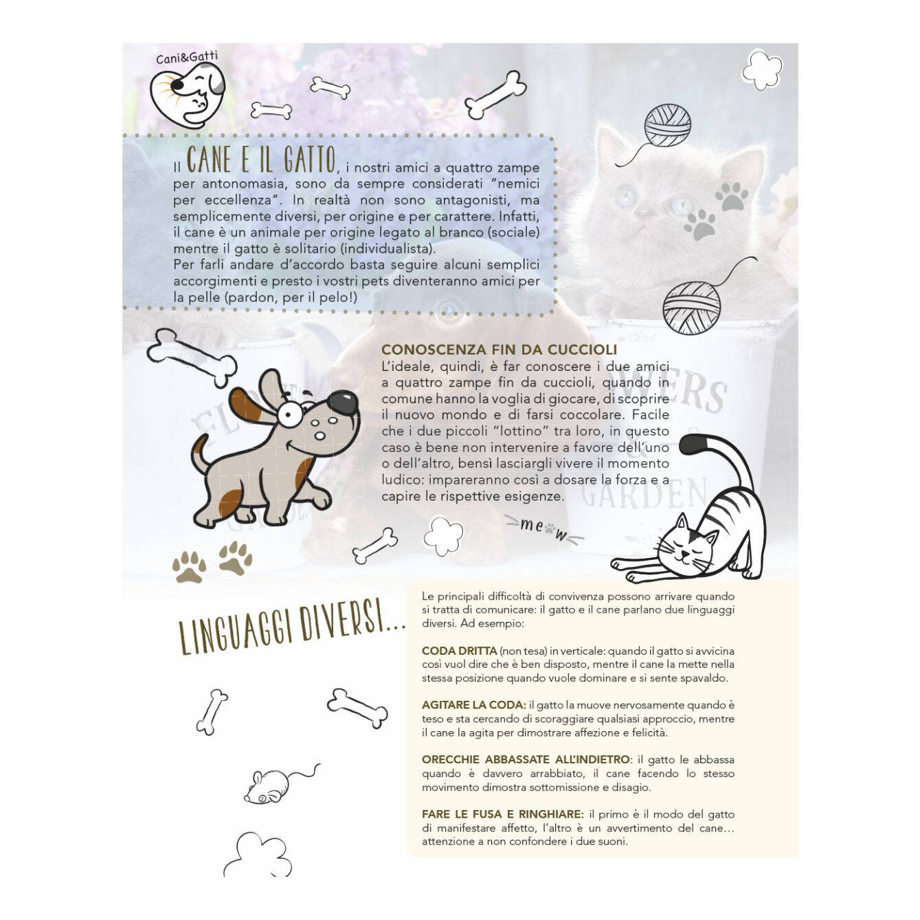 B077 - CALENDARIO CANI E GATTI