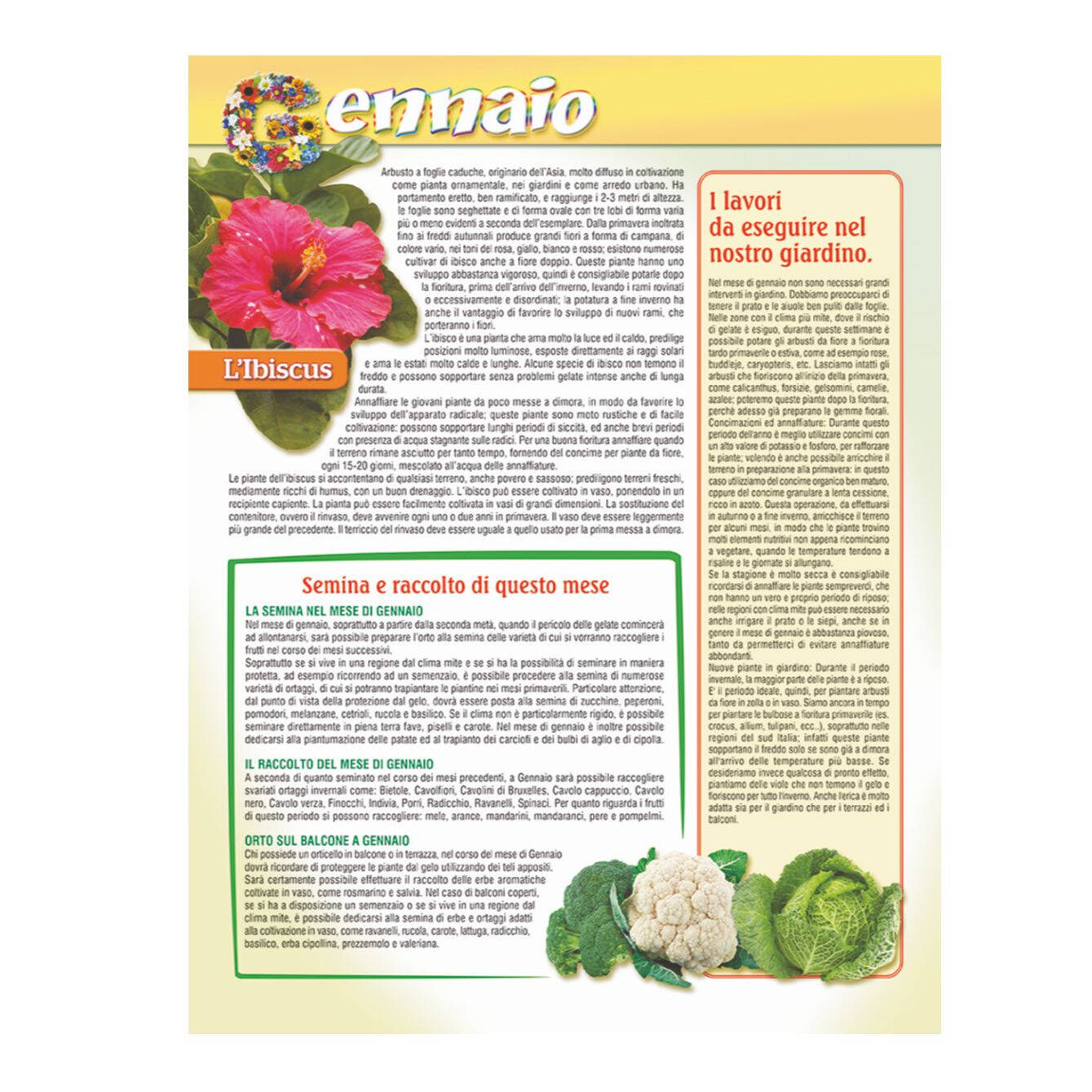 B086 - CALENDARIO ORTO E GIARDINO